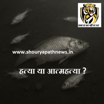 &quot;जब मछलियों ने कहा– अब और नहीं! शक्ति नगर तालाब बना जलसमाधि स्थल&quot; मछलिया डर कर हुई गायब कही जांचकर्ता ना बना ले&quot;मुख्य गवाह&quot;