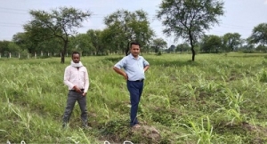 जिले के 153 गोठानों में पशुधन को मिलेगा पौष्टिकता युक्त चारा