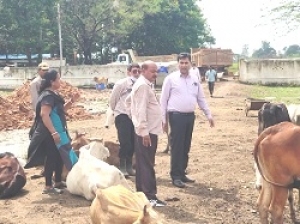 महापौर बाकलीवाल ने गौठान का किया आकस्मिक निरीक्षण ,कहा फेंसिंग,गेट और अन्य कार्य को जल्द करें शुरू