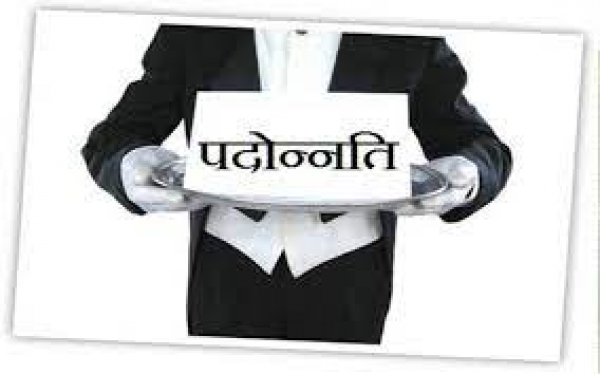 भिलाई निगम के 4 कर्मचारियों को मिली पदोन्नति