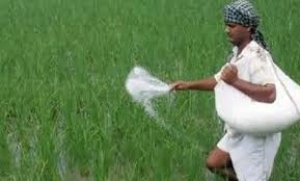 छत्तीसगढ़ में खाद की कोई कमी नहीं