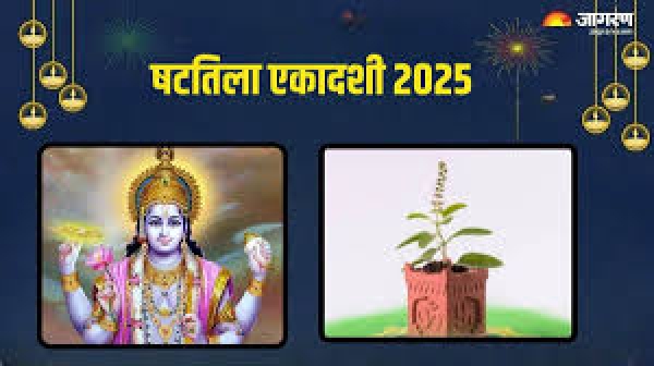 षटतिला एकादशी कब है, इस दिन करें मां तुलसी की पूजा, मिलती है भगवान विष्णु की विशेष कृपा