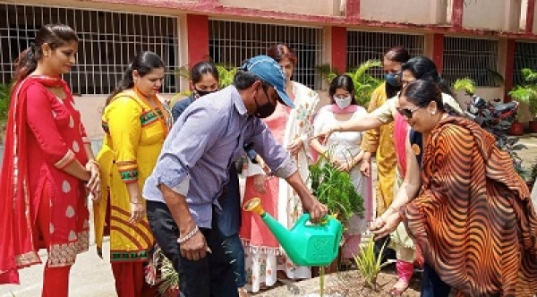 पंजाबी वुमेन संस्था ने लगाए शिक्षक दिवस को यादगार बनाने रोपे पौधे